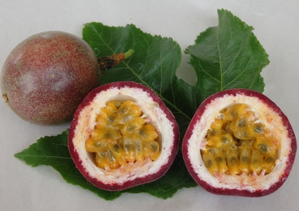 Passionfruit " Supersweet  " Exotic 20 Fruit Seeds