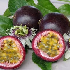 Passionfruit 
