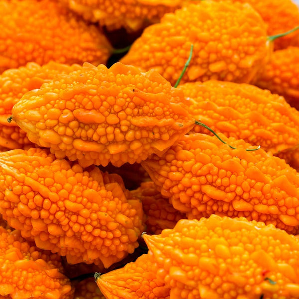 Bittergourd 