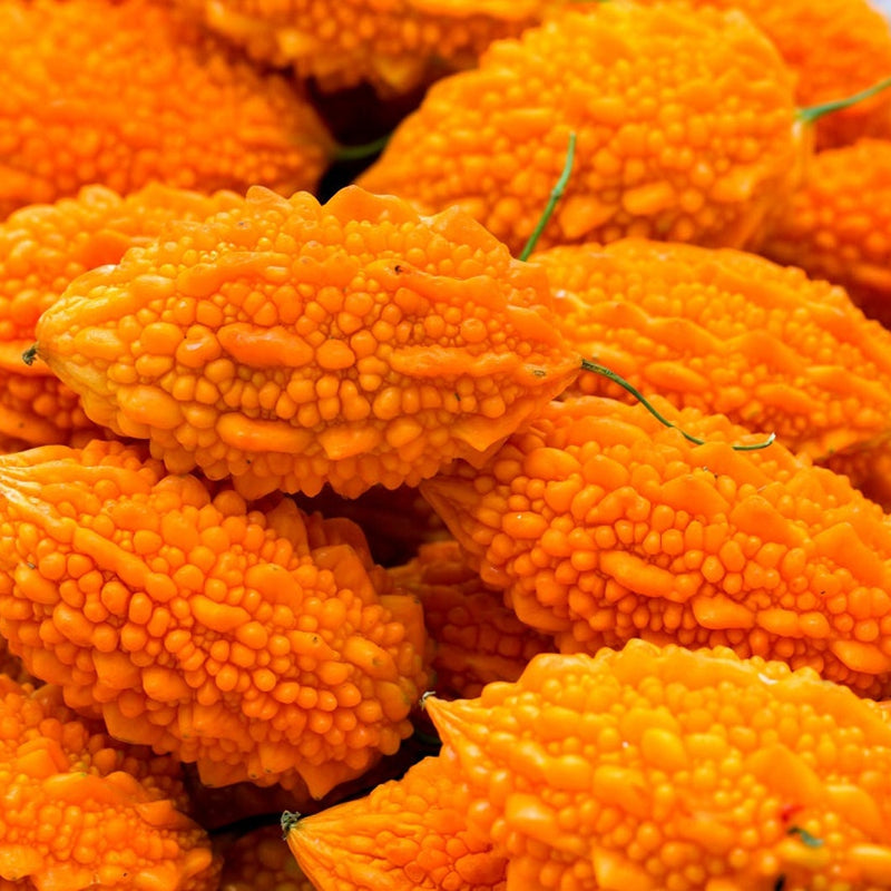 Bittergourd 