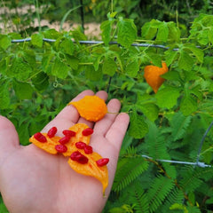 Bittergourd 