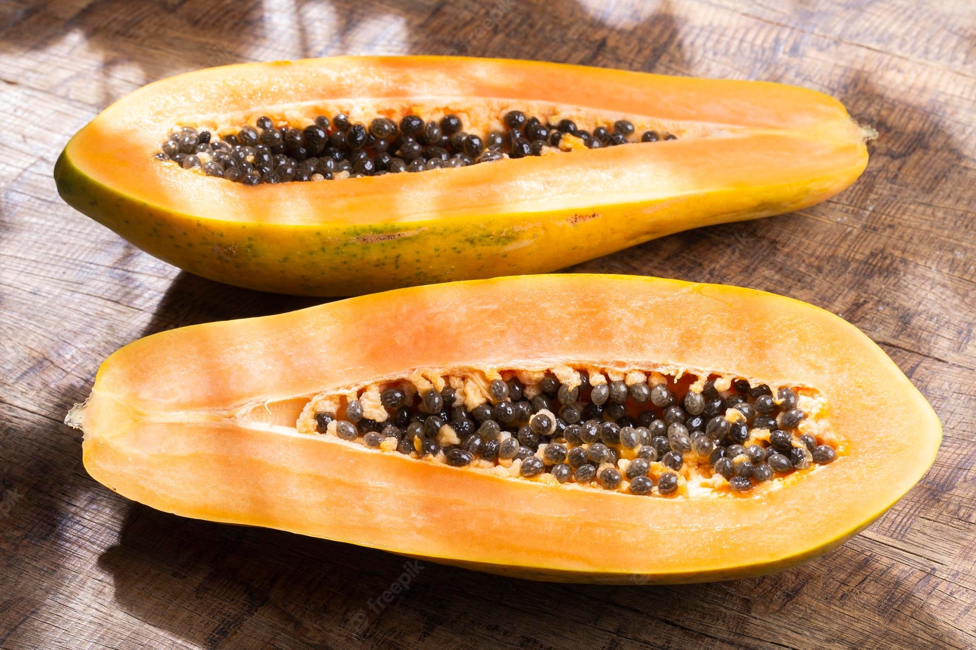 Papaya " Pusa Giant  " Exotic 15 Fruit Seeds