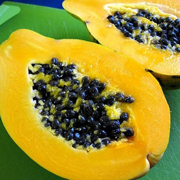 Papaya 