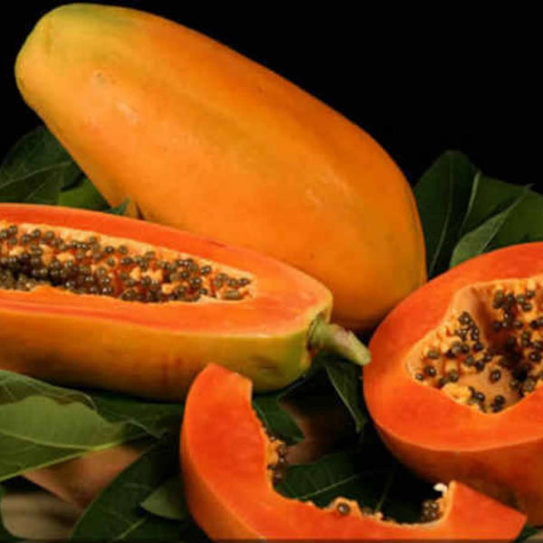 Papaya 