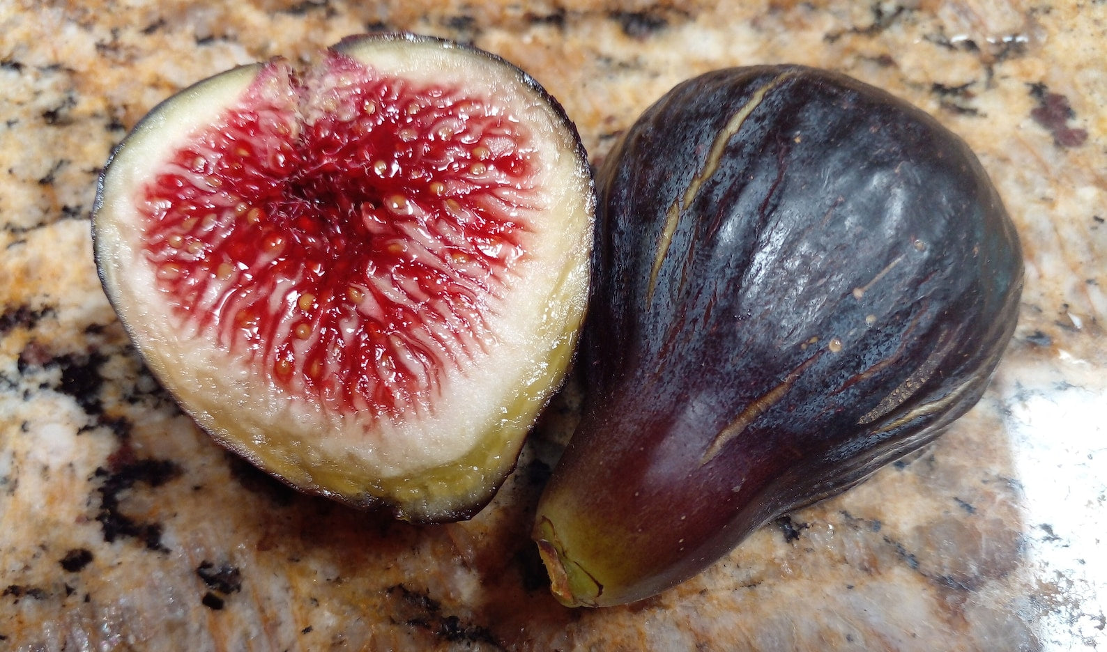 Fig " Black Madeira  " Exotic 30 Fruit Seeds