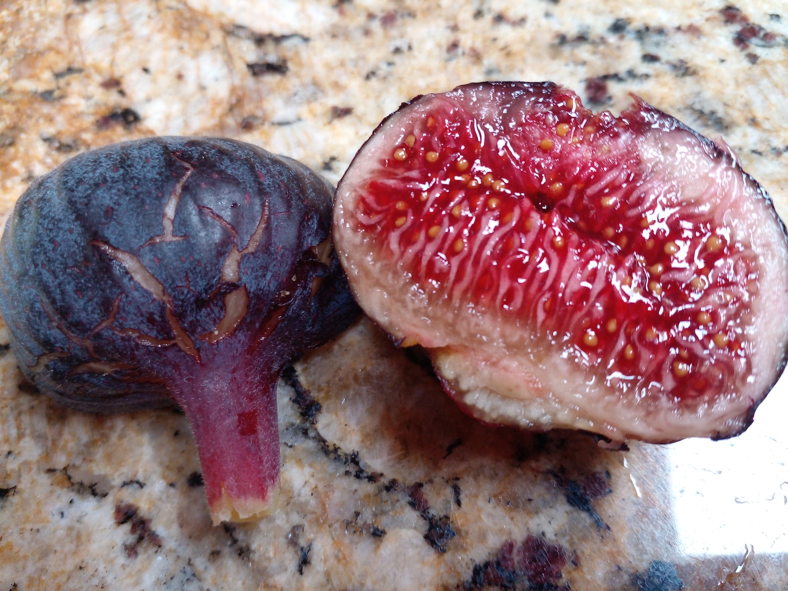 Fig " Cherry Cordial  " Exotic 30 Fruit Seeds