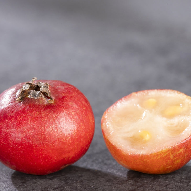 Guava 