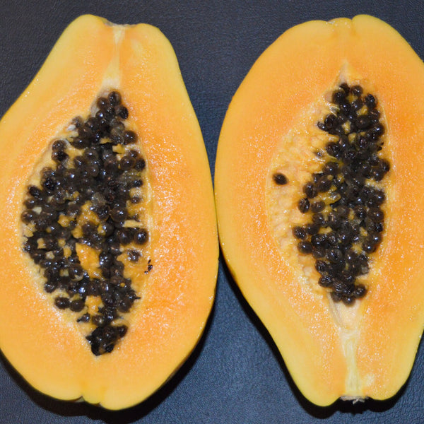 Papaya 