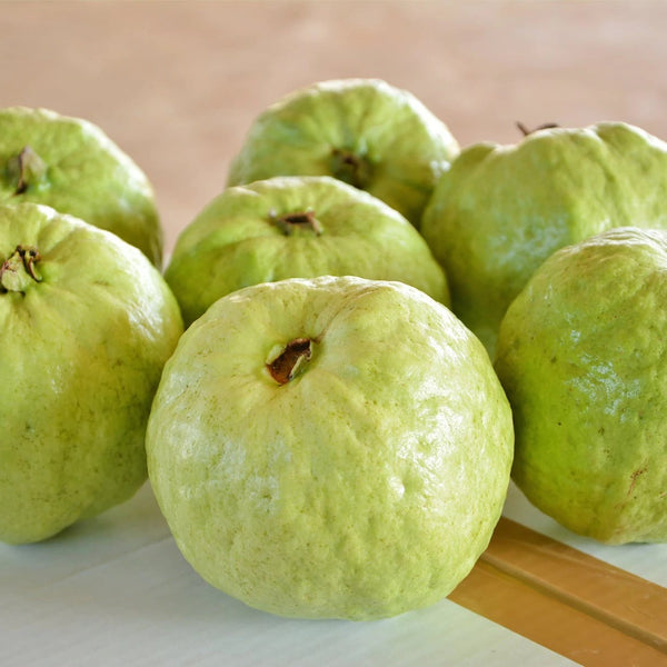 Guava 