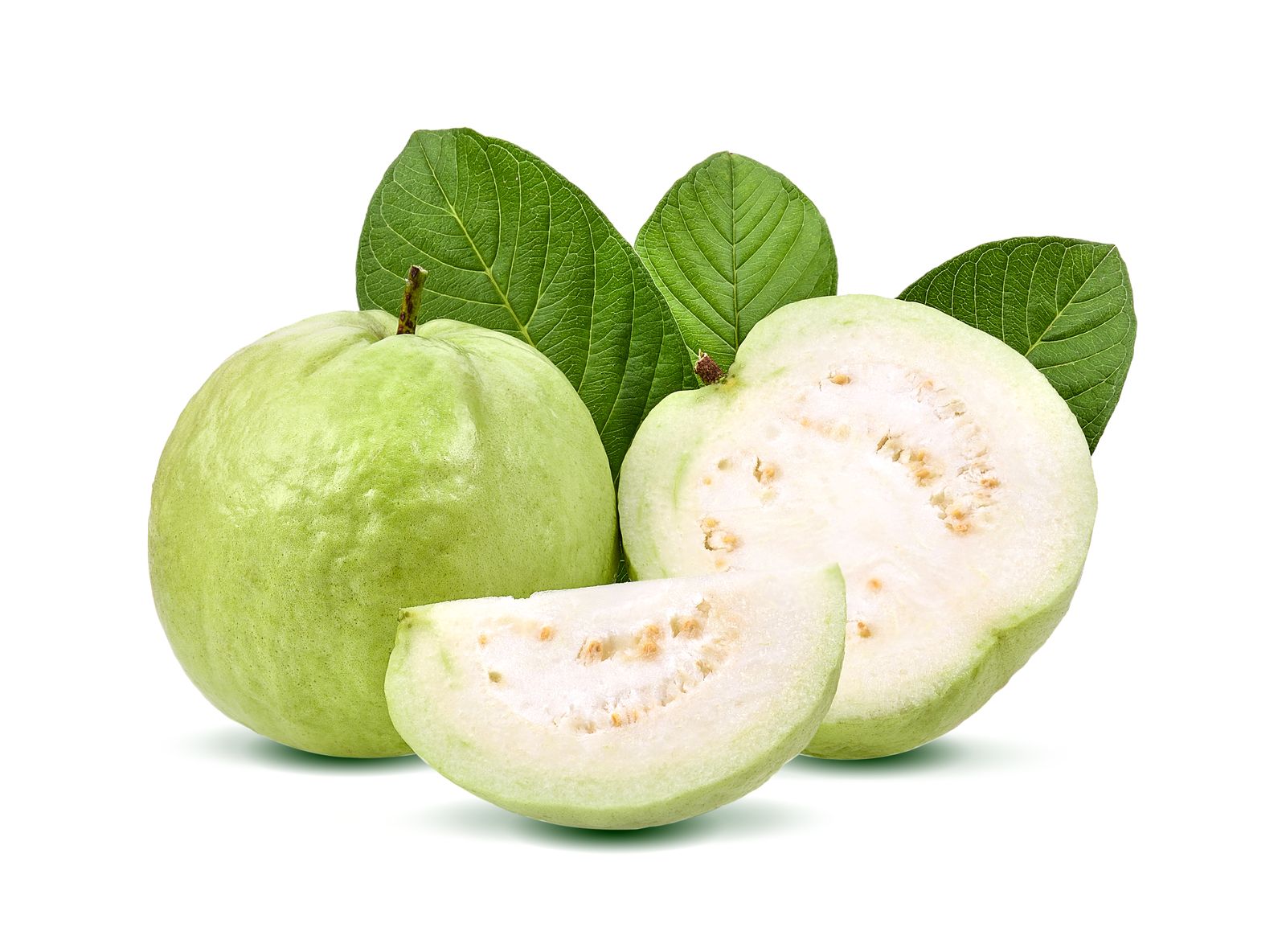 Guava " Taiwan White  " Exotic 40 Fruit Seeds