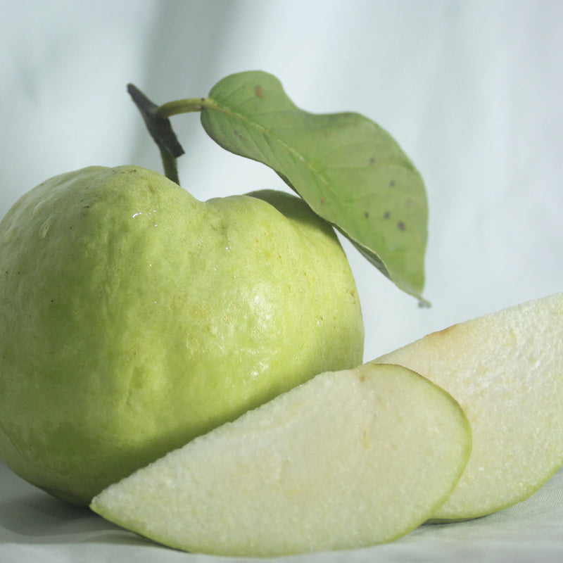 Guava 