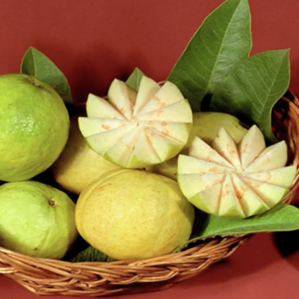 Guava 
