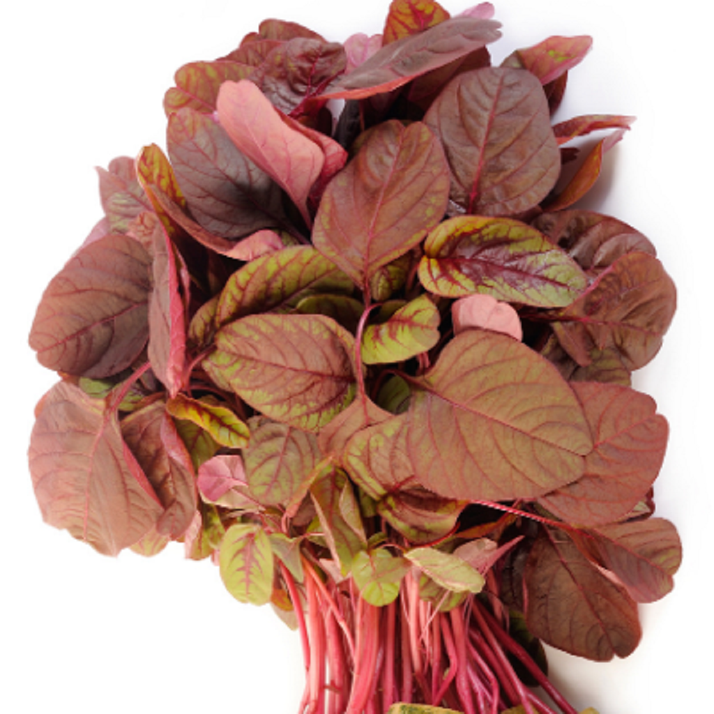 Red Amaranthus " Arun  " Exotic 100 Vegetable Seeds