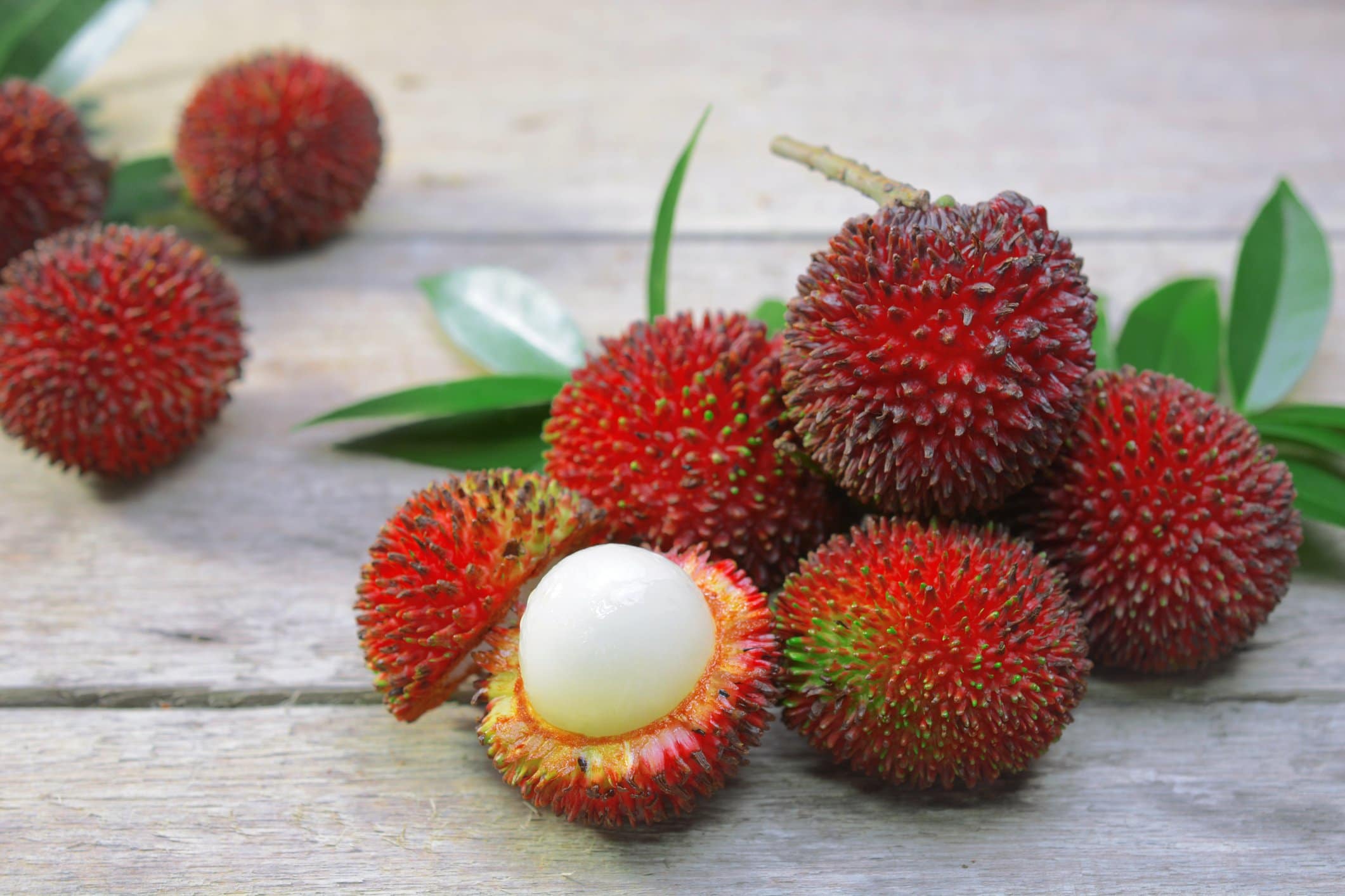 Pulasan - Nephelium mutabile Fruit Plant