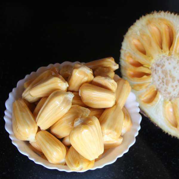 Hybrid Jackfruit - Cambodian Orange Jackfruit Exotic Fruit Plant