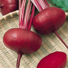 Beet Root 