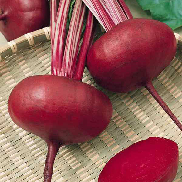 Beet Root 