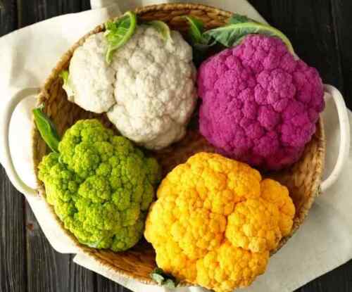 Cauli Flower " Mixed  " Exotic 20 Vegetable Seeds