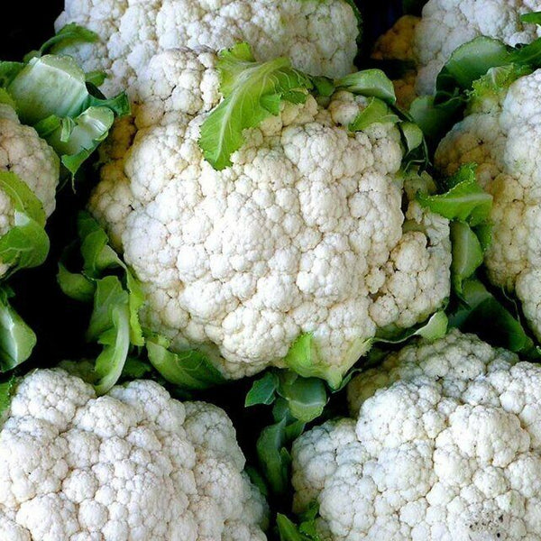 Cauli Flower 