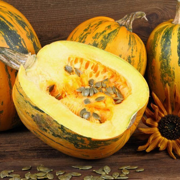 Pumpkin 