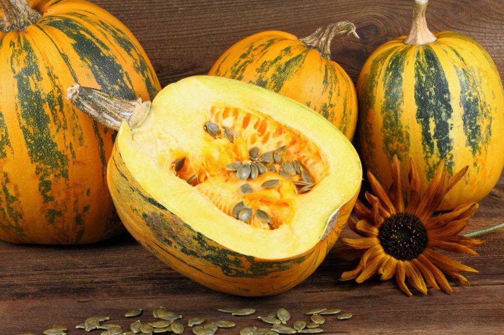 Pumpkin " Striped  " Exotic 10 Vegetable Seeds