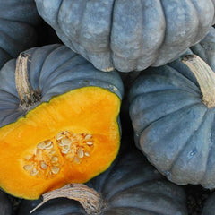 Pumpkin 
