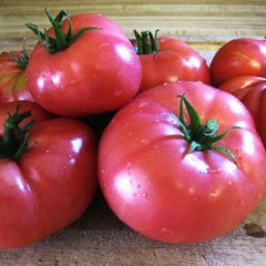 Tomato 