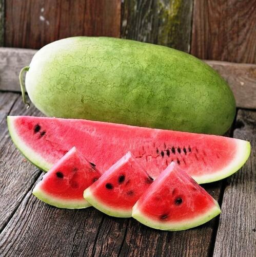 Watermelon " Charleston Grey  " Exotic 10 Fruit Seeds