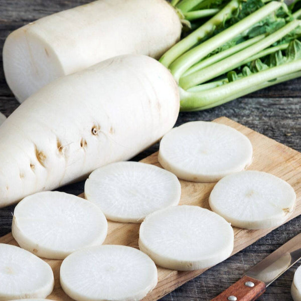 Radish 