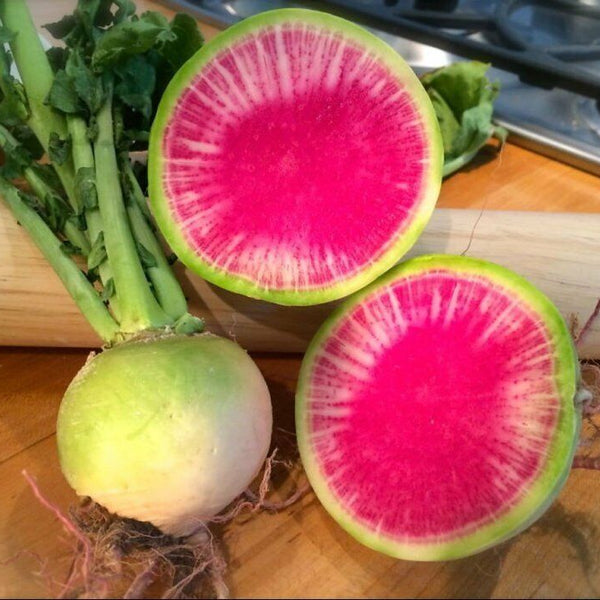 Radish 